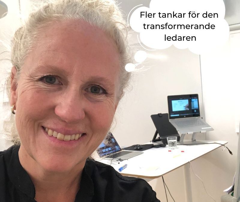 Vi kan ha ett starkt VARFÖR kopplat till vår verksamhet