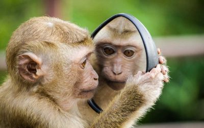 Leadership in 2025 – It’s Not What You Think