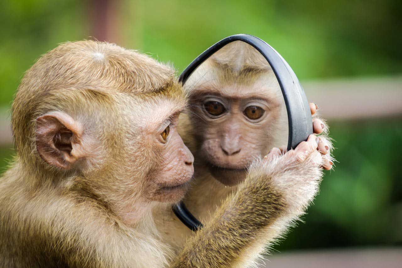 Leadership in 2025 – It’s Not What You Think
